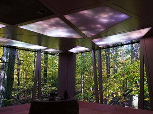 Dynamische Lichtdecke, videofähig Waldmotiv